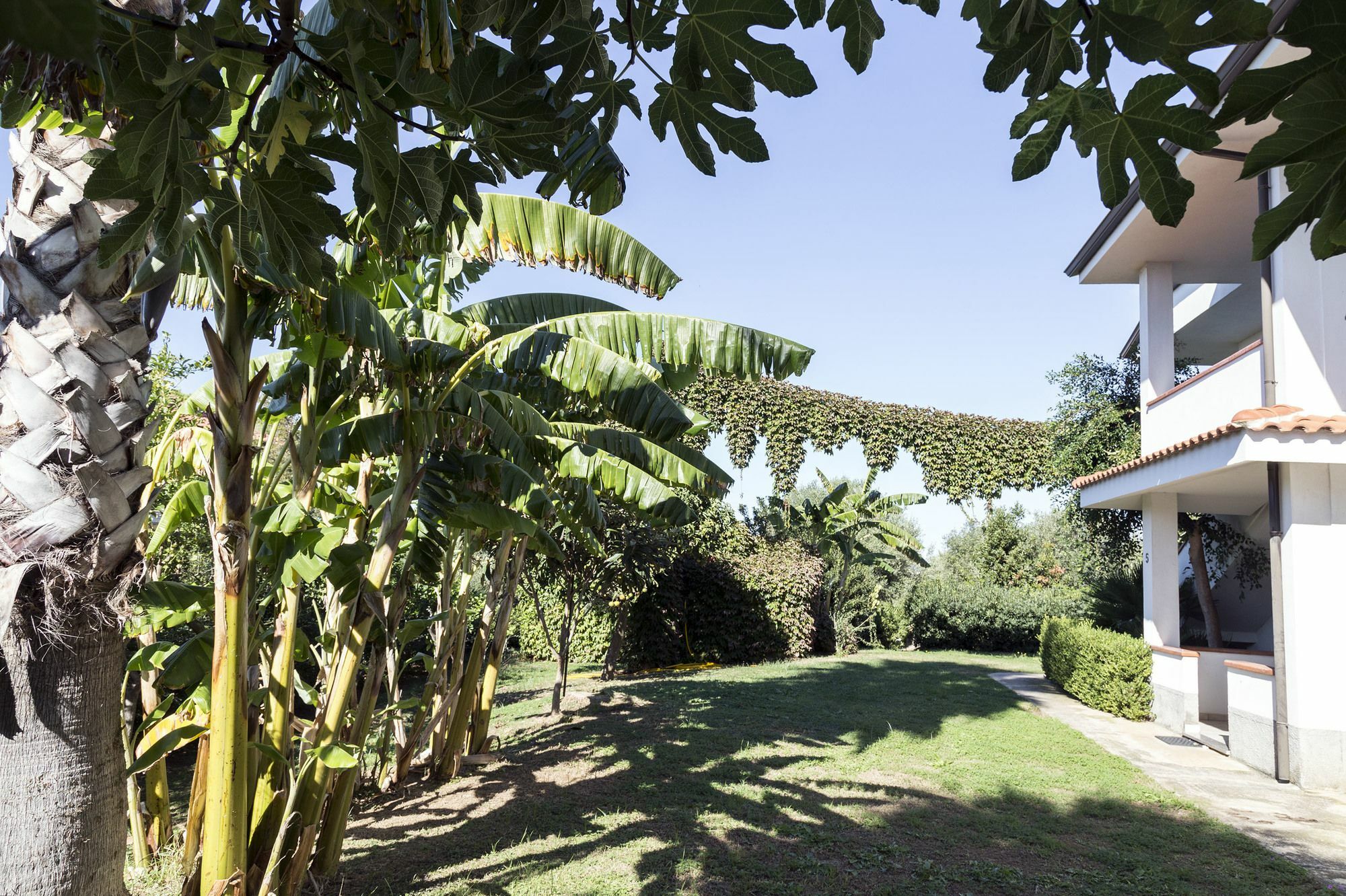 Happy Days Aparthotel Capo Vaticano Ngoại thất bức ảnh